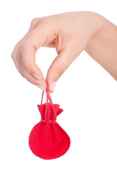 ビジネスの女性の手は、お金の完全な袋を保持しています。聖霊降臨祭の分離 — ストック写真