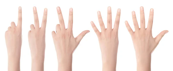 güzel kadın eli, palmiye up close-up. beyaz b izole