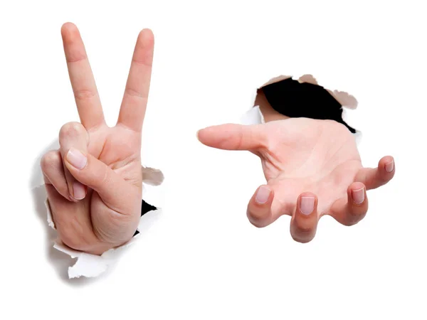 güzel kadın eli, palmiye up close-up. beyaz b izole