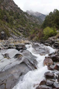 Kırgızistan'daki nehir Dugoba 