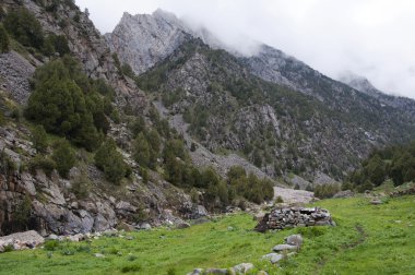 Kırgızistan'daki Dugoba Nehri vadisinde kat 