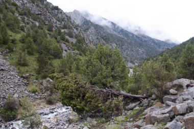 Gorge Kırgızistan'Dugoba ' nin manzaralarına