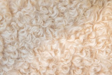 Örtü ve arkaplan resmi veya dokusu yakın plan.