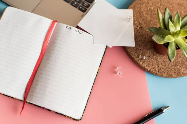 Dizüstü bilgisayarın ve saksı bitkisinin geçmişini listelemek için. Çalışma ortamı. Mesaj için yeri olan bir defter, pembe ve mavi pastel arka planda iğneleri olan kağıtlar. Kopyalama alanı, modelleme, üst görünüm — Stok fotoğraf