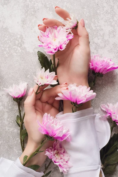 Mãos de uma menina com uma manicura suave em flores em um fundo cinza com crisântemos rosa. O conceito de cuidar da pele das mãos. Cosméticos naturais de extrato de flor, beleza e moda — Fotografia de Stock