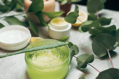 Bir aloe dalı ve okaliptüs yapraklarının yanında bir kutu aloe jeli. Doğal malzemelerin arka planında yeşil aloe jeli. Cilt bakımı konsepti, vücuduna duyulan sevgi, doğal malzemeler. Arkaplan zekası