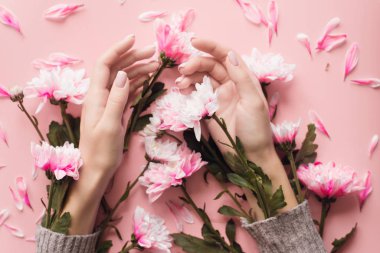 Kollarında kasımpatı çiçekleri olan bir kazakla pembe pastel arka planda narin genç eller. Kış vücut bakımı konsepti, nemlendirici ve kırışıklık önleyici. Kozmetiğin doğal bileşenleri 