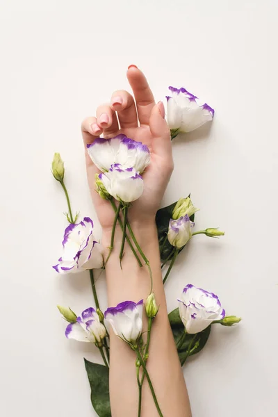 Mão delicada e flores de primavera de eustoma estão na mesa branca. Cosméticos naturais de cuidado de pele de mão, um meio de reduzir dobras nas mãos, hidratando. Extrato de flor natural cosméticos, beaut — Fotografia de Stock