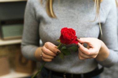 Çiçekçi kadın gül yapraklarını seçiyor. Sarışın, bir buket mükemmel kırmızı gül topluyor.