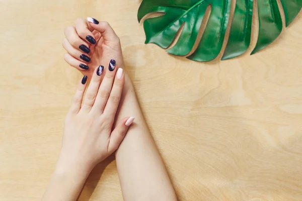 Dark purple fashionable manicure on the hands of a girl. Woman\'s hands on a wooden table with palm leaves. The concept of skin care, natural hand creams.