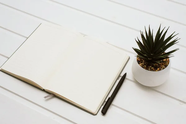 Aufgeschlossenes Notizbuch Stift Und Pflanze Auf Weißem Tischhintergrund — Stockfoto