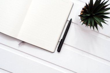 Beyaz ahşap arka planda boş beyaz bir defter, saksıdaki ev çiçeğinin yanında. Işık deseni.