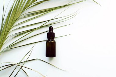 Palmiye yaprağının arka planında nemlendirici serum var. Mavi pastel arka plan. Reklam şablonu, blog. Cilt bakımı kavramı.