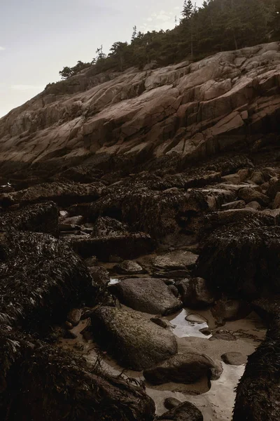Zonsondergang Ruige Kustlijn Van Sand Beach Een Koele Herfstavond Acadia — Stockfoto
