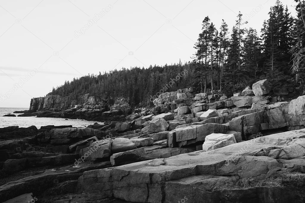Rugged cliffs of Ocean Path along the shoreline of Acadia National Park in Mount Desert Island, Maine in black and white 