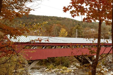 Tarihsel Taftsville Kapalı Köprüsü Woodstock, Vermont 'ta sonbahar yapraklarıyla çevrili. Vermont, Usa