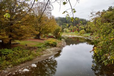 Ottauquechee Nehri 'ne bakan Orta Kapalı Köprü' den New England 'ın Woodstock, Vermont kasabasında soğuk bir sonbahar günü manzarası.