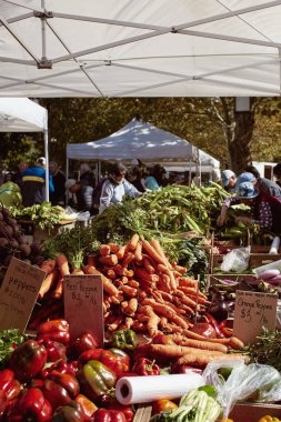 Boston, Massachusetts - 3 Ekim 2019: İnsanlar Copley Meydanı 'ndaki bir çiftçi pazarından taze ürün ve yerel mal alışverişi yapıyorlar..  