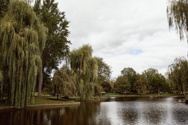 Boston, Massachusetts 'in Back Bay mahallesindeki Boston Halk Bahçeleri' nde gölet.