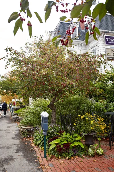 Woodstock Vermont Septiembre 2019 Follaje Flores Calabazas Decorando Una Acera — Foto de Stock