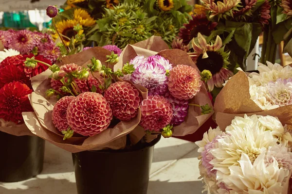 Bouquet Fresh Dahlia Flowers Sale Farmers Market Copley Square Boston — Stock Photo, Image