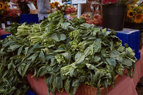 Brocoli Chinois Vendre Marché Fermier Copley Square Boston Massachusetts Brassica — Photo