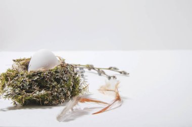 Beyaz yumurta beyaz arka planda bir kuş yuvasında yatar. Tüyler yakınlarda duruyor. Arka planda, bulanık odaklı söğüt dalları var. Yatay görünümü izole et