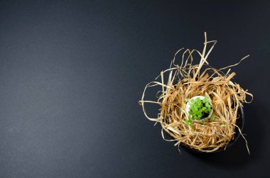 Yumurta kabuğu mikroyeşil siyah bir plaka içinde samanlıkta durur ve siyah arka planda yatay bir görünümde minimalizm siyah monokrom eğilimindedir