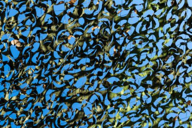 askeri kamuflaj doku