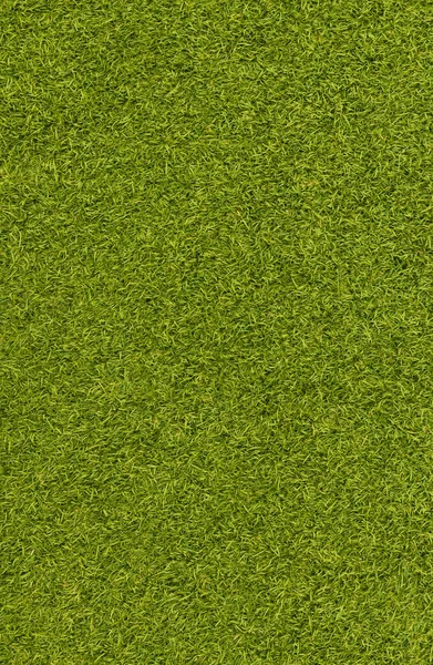 Tekstura trawa sztuczna — Zdjęcie stockowe
