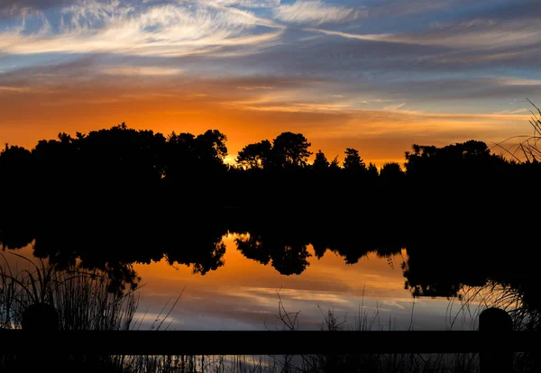 Cordyline águas Lago pôr do sol — Fotografia de Stock