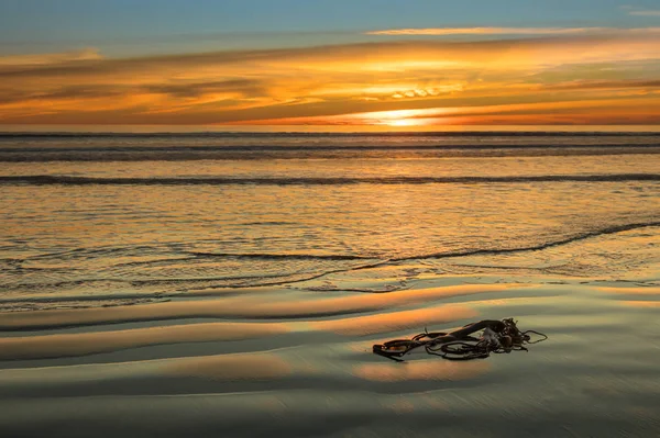 サンセット ビーチ海の雑草 — ストック写真