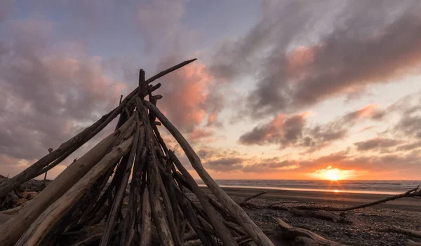 Pila di legno della spiaggia — Foto Stock