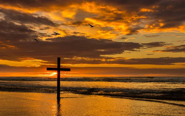 Drie vogel van de zaligheid — Stockfoto