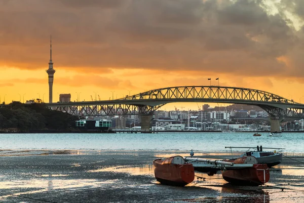 Nízké uklizené Auckland — Stock fotografie