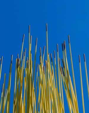 Çubuklar gökyüzüne