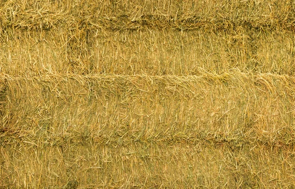 New Zealand Hay Bales — Stock Photo, Image