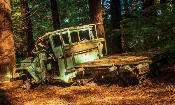 Forest Truck — Stock Photo, Image
