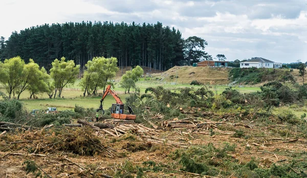 Logging Clearing — Stock Photo, Image