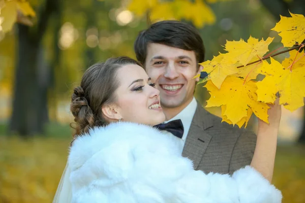 Sonbahar parkında gelin ve damat Aşk Hayatı — Stok fotoğraf