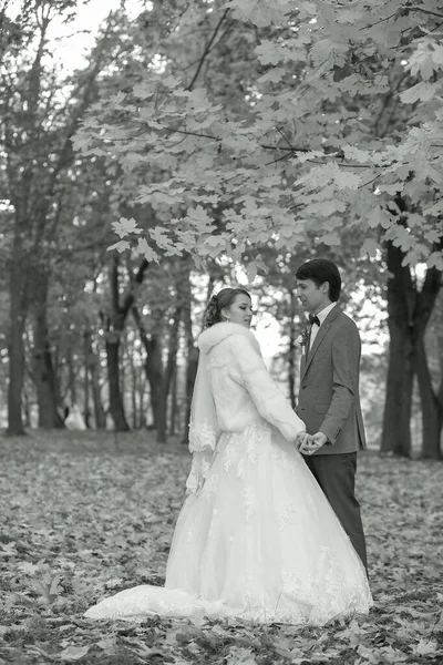 Νύφη και γαμπρός στο φθινόπωρο πάρκο Αγάπη Ζωή — Φωτογραφία Αρχείου