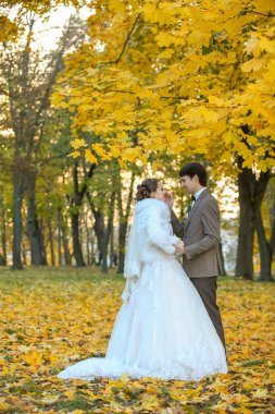 Sonbahar parkında gelin ve damat Aşk Hayatı