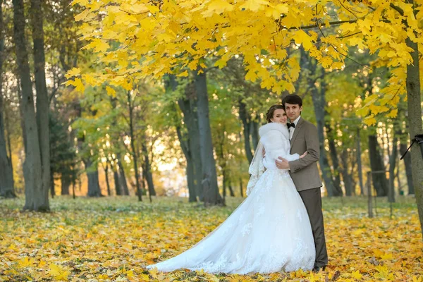 가을 파크 러브 라이프에서 신랑 신부 — 스톡 사진
