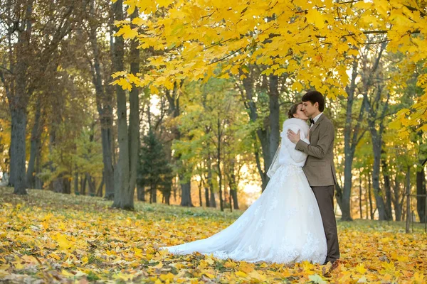新郎新娘在秋天公园的爱情生活 — 图库照片