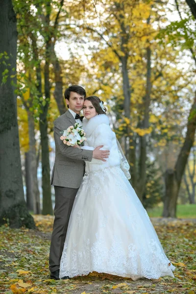 Menyasszony és vőlegény az őszi parkban szerelem élet — Stock Fotó