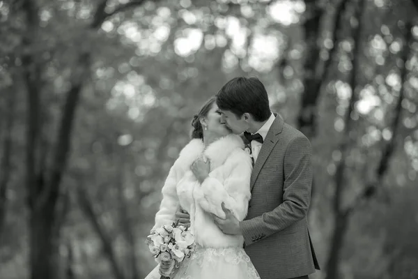 Поцілунок нареченого і нареченого в осінньому парку . — стокове фото