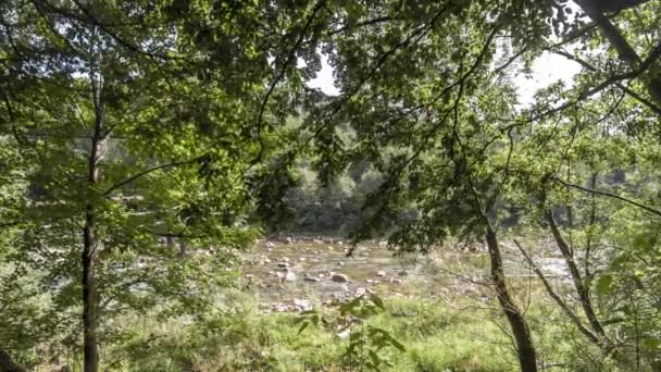 Mělká horská řeka s rychlým tokem v Karpatských horách s kamennatým dnem. 4k včasné natáčení horské řeky s kamennými mosty — Stock video