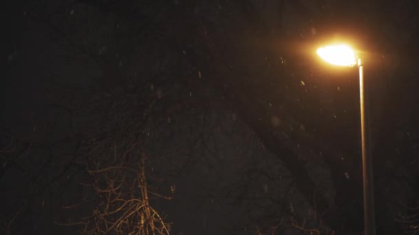 Karanlık kış gecesinde sokak lambası parlıyor. Noel gecesi kar yağarken şehir feneri. Kışın yağan karda sokak lambası — Stok video
