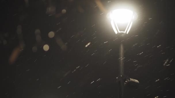 Luz de la calle que brilla en la noche oscura de invierno. Linterna de la ciudad en la nieve que cae en la noche de Navidad. farola en la nieve que cae en la ciudad de invierno — Vídeos de Stock