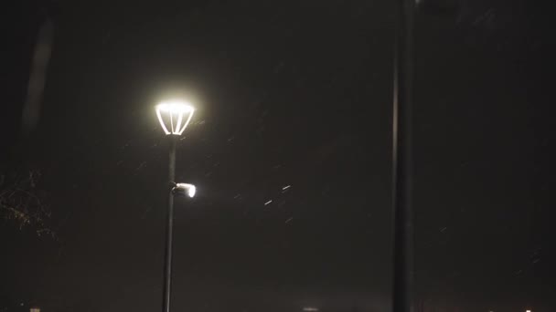 Luce di strada che brilla nella notte d'inverno buio. Lanterna della città nella neve cadente alla notte di Natale. Lampione stradale nella neve che cade nella città invernale — Video Stock